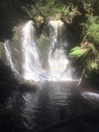 image_544016972686519