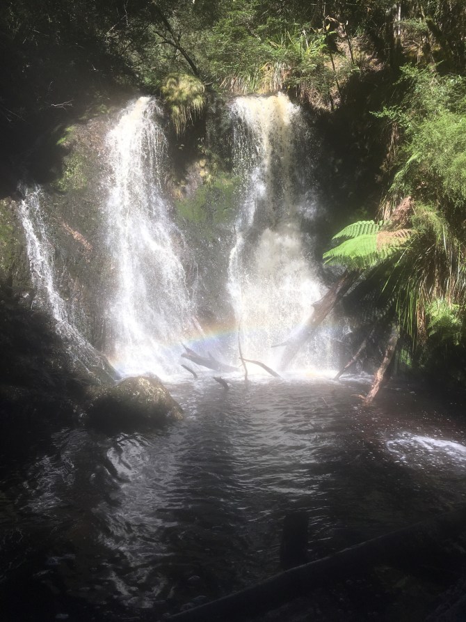 image_544016972686519