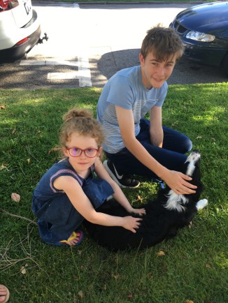 image_544279687831796