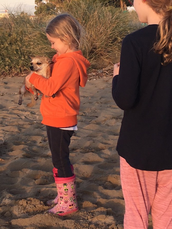 image_551276509738739