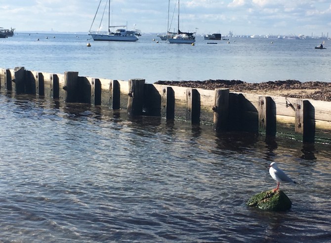 image_551450944837258