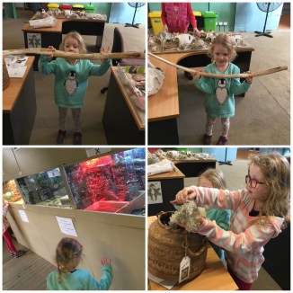 image_55248615853072