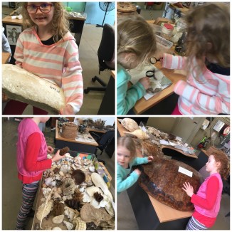 image_552486168137551