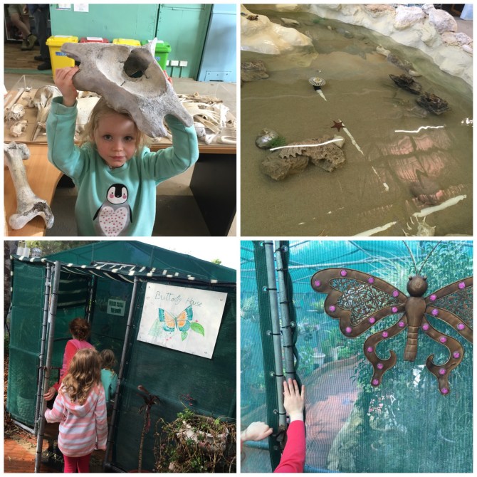 image_552486178020888