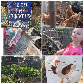 image_552486196894581