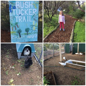 image_552486206770712