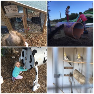 image_552486224637057