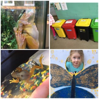 image_552486232948427