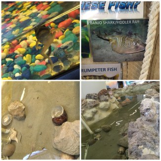 image_552486241458658