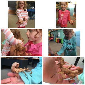 image_55248626527779