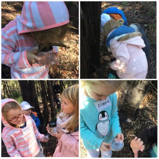 image_552612929076229