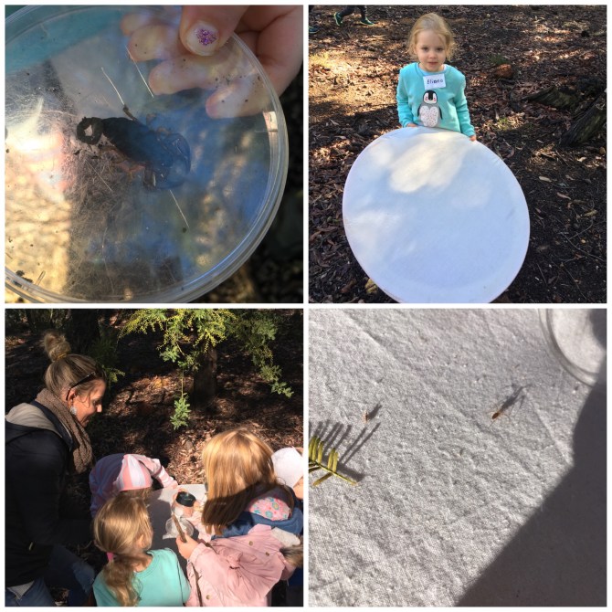 image_552612940990177