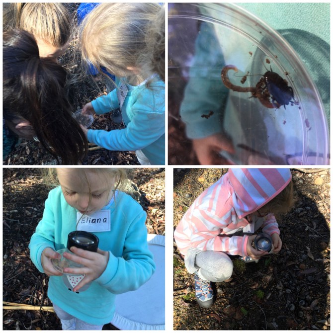 image_552612955825781