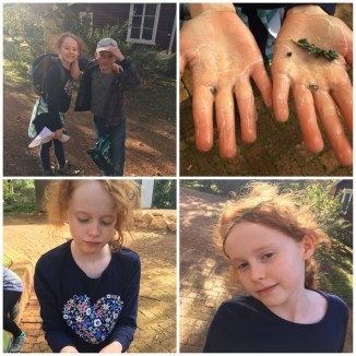 image_552612989897474