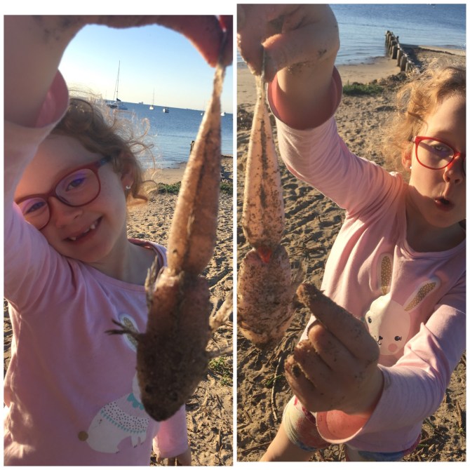 image_552817642014428