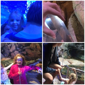 image_553568401642633