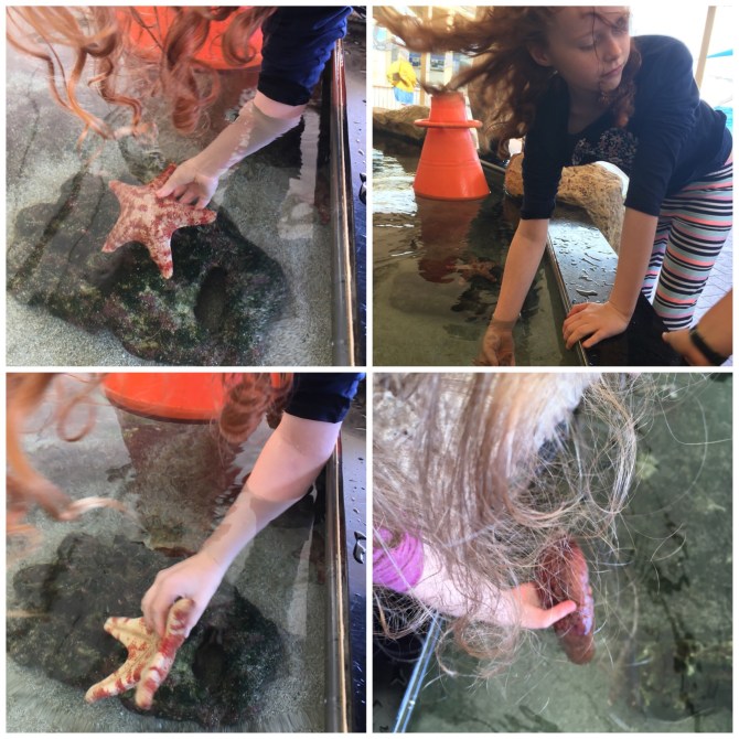 image_553568425796061